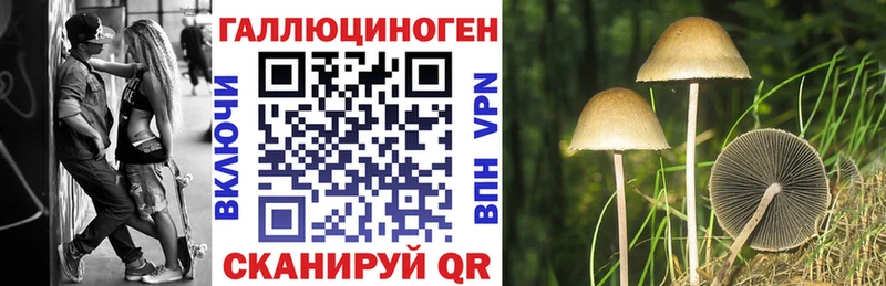 Галлюциногенные грибы Magic Shrooms  Купить  Старый Оскол 